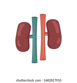 Kidneys illustration design element. flat icon.