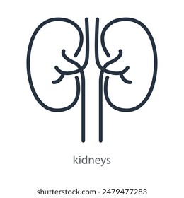 The kidneys are an internal human organ. Icon of the anatomical structure of the kidney. Logo of urology, nephrology, kidney diseases. Linear vector illustration isolated on white background