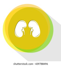 kidneys. Internet template. Vector icon.