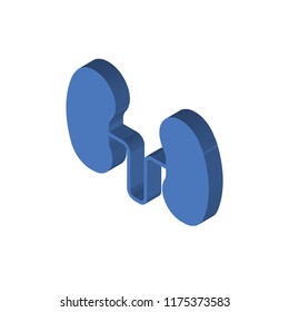 Kidneys isometric left top view 3D icon