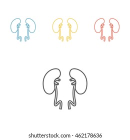 Kidneys line icon. Vector illustration.
