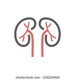 Kidneys line Icon. Vector sign for web graphic.