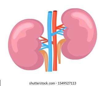 1,086 Kidney failure icon Images, Stock Photos & Vectors | Shutterstock