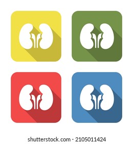 Kidneys. Medical icon isolated on green, yellow, blue and red background. First aid. Healthcare, medical and pharmacy sign. Square button. Vector Illustration