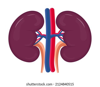 Kidneys For Medical Icon Vector. Cartoon Internal Organ Concept Of Pyelonephritis, Nephroptotic, Renal Failure Is Shown. Health Kidney Cartoon Sign