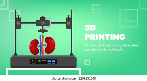 kidneys model prints on 3d bio printer medical printing of human transplantation organ biological engineering bioprinting