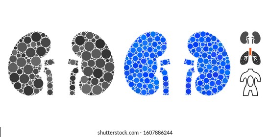 Kidneys mosaic of circle elements in variable sizes and color tinges, based on kidneys icon. Vector round elements are organized into blue mosaic. Dotted kidneys icon in usual and blue versions.