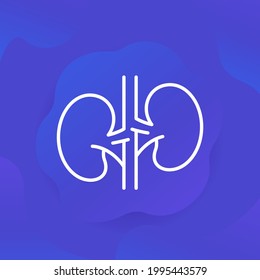 kidneys and nephrology line icon