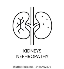 Kidneys, nephropathy line vector icon with editable stroke