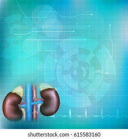 Kidneys on an abstract light blue technology background