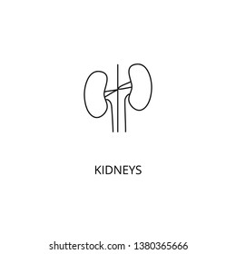Kidneys organ of the human body vector icon, outline style, editable stroke