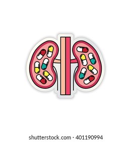 Kidneys organ and medicine illustration with capsules inside it. Vector illustration EPS 10