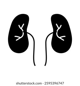 Kidneys – Organ Representing Renal Health