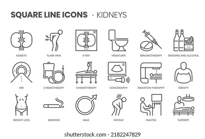 Kidneys related, pixel perfect, editable stroke, up scalable square line vector icon set. 