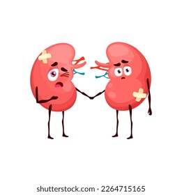 Los riñones enferman de órgano corporal. La caricatura es un vector de personajes anatómicos, órganos internos del cuerpo con cara infeliz y yeso en manos. Atención médica de la salud renal, cirugía, problemas de fisiología