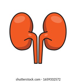 kidneys vector flat color icon 