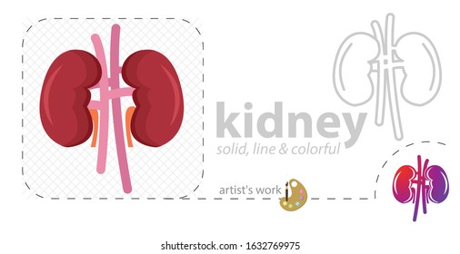 Kidneys vector flat illustration, solid, line icon