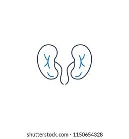 Kidneys vector Icon