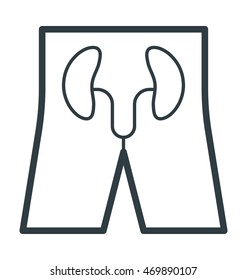 Kidneys Vector Icon
