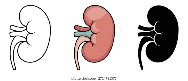 Icono de Vector de riñones. Negro y blanco, ilustración sólida del riñón del estilo del color aislada en el fondo blanco

