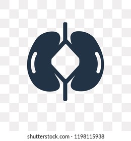 Kidneys vector icon isolated on transparent background, Kidneys transparency concept can be used web and mobile