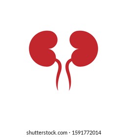 Kidneys vector icon isolated on white background
