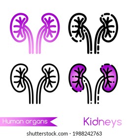 Kidneys vector icon isolated on white background