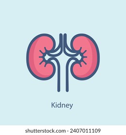 Kidneys vector icon isolated on blue background