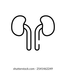 Kidneys vector icon stock illustration
