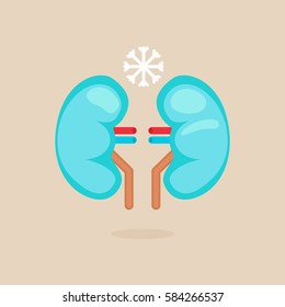 kidneys vector illustration