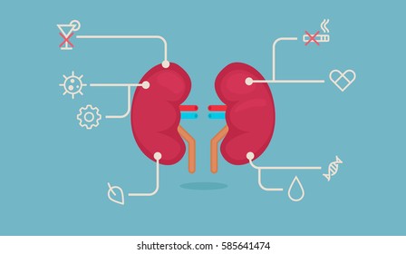 3,741 Kidney transplant Stock Vectors, Images & Vector Art | Shutterstock