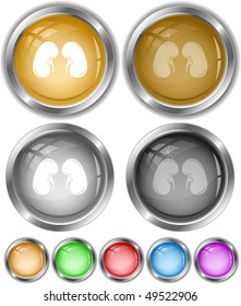 Kidneys. Vector internet buttons.