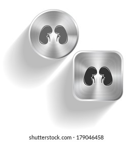 Kidneys. Vector set steel buttons