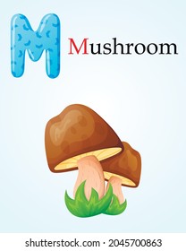 Kids banner with english alphabet letter M and cartoon image of forest porcini mushroom in the grass.