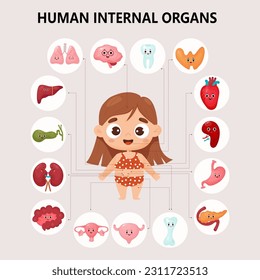 Kids cartoon anatomy human body. Cute girl and visual scheme internal female organs characters and locations. Vector illustration. Educational medical infographic