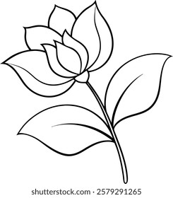 Kids Coloring Book with Lotus Flower Vector Illustrations
