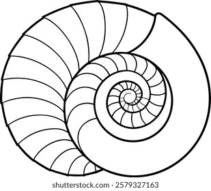 Kids coloring book, Natural spiral shell fossil vector illustration