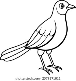 Kids Coloring Book with Seagull Vector Illustration