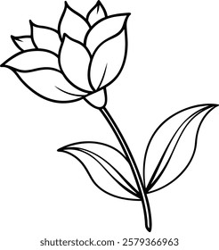 Kids Coloring with Branch Flower Vector Illustration