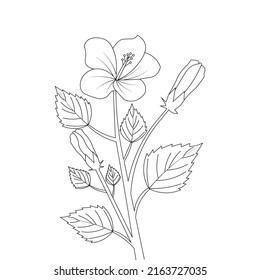 Kids Coloring Page Hibiscus Flower Illustration Stock Vector (Royalty ...