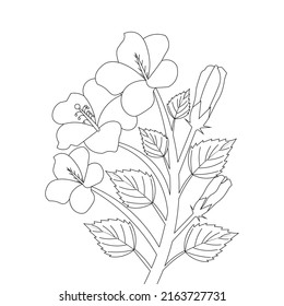 kids coloring page of hibiscus flower illustration with line art stroke