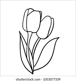 Kids coloring pages tulip flowers
