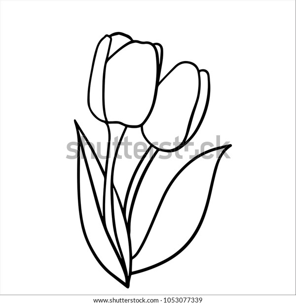570 Colouring Pages Tulip Flowers  Images