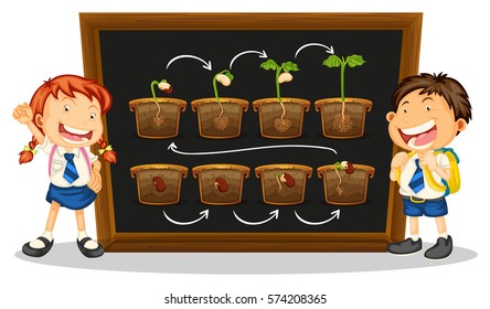 Kids and diagram of growing plant on board illustration