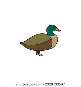 Kids drawing Cartoon Vector illustration cute wild duck mallard icon Isolated on White Background