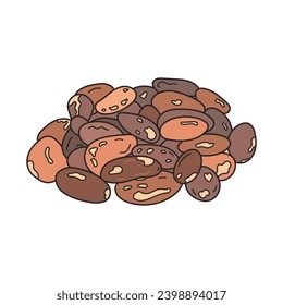 Kids drawing vector Illustration cacao beans in a cartoon style Isolated on White Background