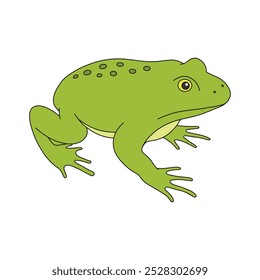 kids drawing Vector illustration green frog flat cartoon isolated