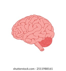 kids drawing Vector illustration human brain flat cartoon isolated