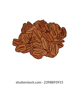 Kids drawing vector Illustration pecans in a cartoon style Isolated on White Background