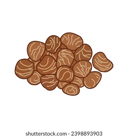 Kids drawing vector Illustration saba nuts in a cartoon style Isolated on White Background